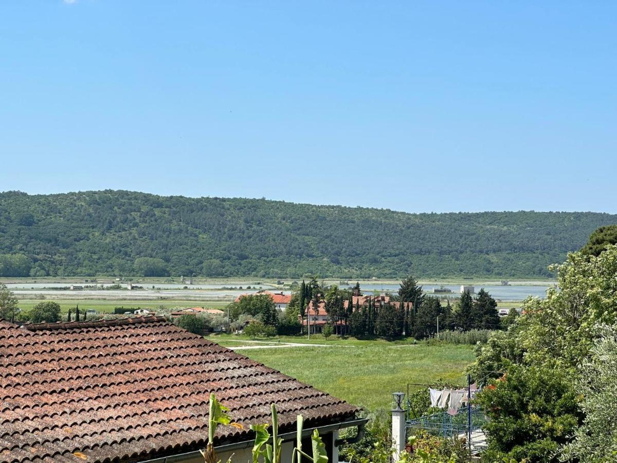 Apartma Zonta Secovlje Exterior photo